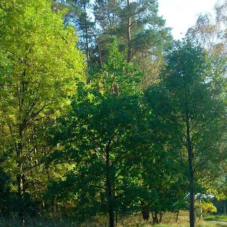Am Holzendorfer Prázdninový dům Dabel